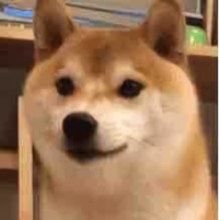 小丑6471头像