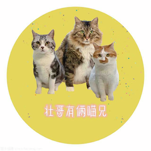 壮哥有俩喵兄头像