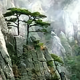 迎春纳福12头像