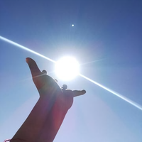 菜车菜腿大梦想头像