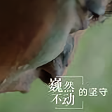 莪有着属于莪的执著ys头像