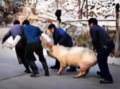 反犹斗士头像