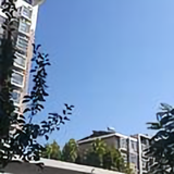 GuQQ1972头像