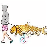 张鑫vvvvvvvv头像