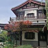 橱窗266头像
