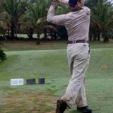 野生灵芝药用保健应用研究头像