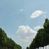 阳光5220360204144头像