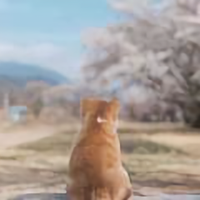 小雨沙沙的下头像