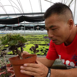 钱程似锦640头像