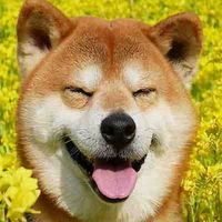 猫跳了桥头像