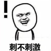 三十万张伟禁军教头头像