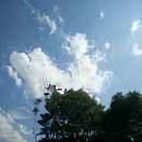 热闹芒果NW头像