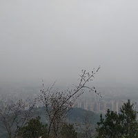 雨林2号头像