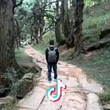 Max头像