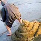 物卡尼起头像
