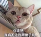 七槿年56908297头像