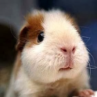 先生4802817511204头像