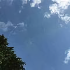 奋斗2146702头像