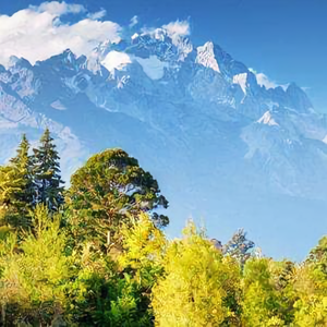 逍遥洪七公头像