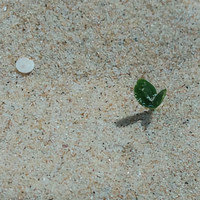 此昵称禁用头像