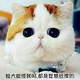 恐龙让骑头像