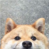 书生4704头像