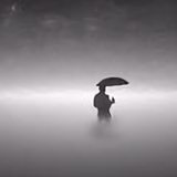 灰伯爵的夏天头像
