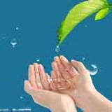 小雨点头像