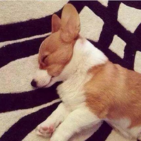 排气管的梦想头像