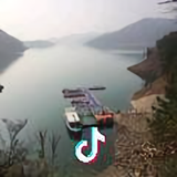 喵喵王头像