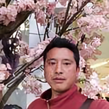 曲卓啊鲁头像