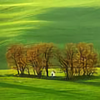 徐道新25144822头像