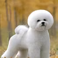 风趣糯米u6g头像