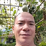 森之郎茶叶头像