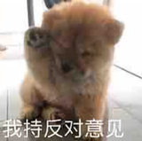看尽人间冷暖头像