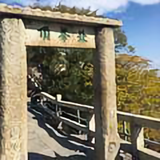 好多火车头像
