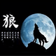 心走51221426头像