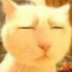 SinaOhYeah头像