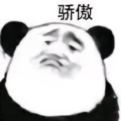 梦想开s4的速腾车主头像