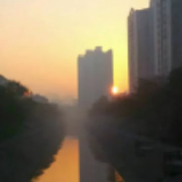 tonyzhangtao头像