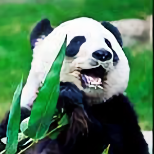 熊猫娱乐搞笑头像