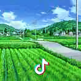 回忆2340305头像