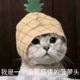 巴菲特不存在昵称头像