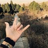 俊俏风筝tA头像