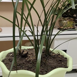 涂料小陈头像