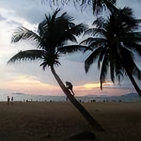 寻找快乐房车行头像