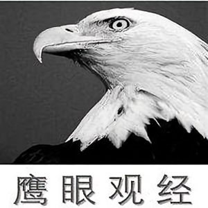 鹰眼观经头像