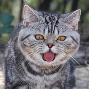 DJ小米飞猫184933739头像