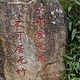 榕皖2011头像