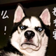 蔡小爷头像